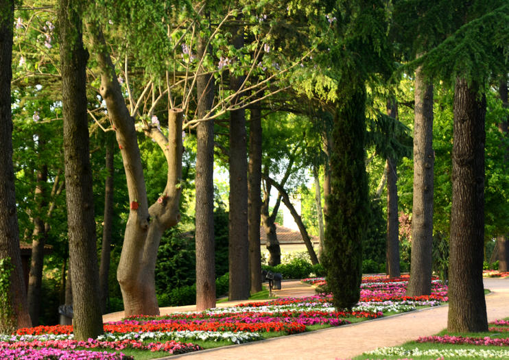 Emirgan Park (Emirgan Korusu)